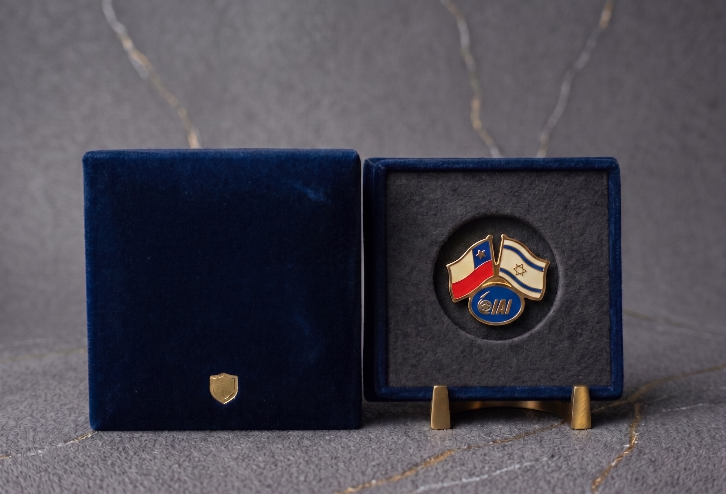 Pin personalizado de Israel Aerospace Industries