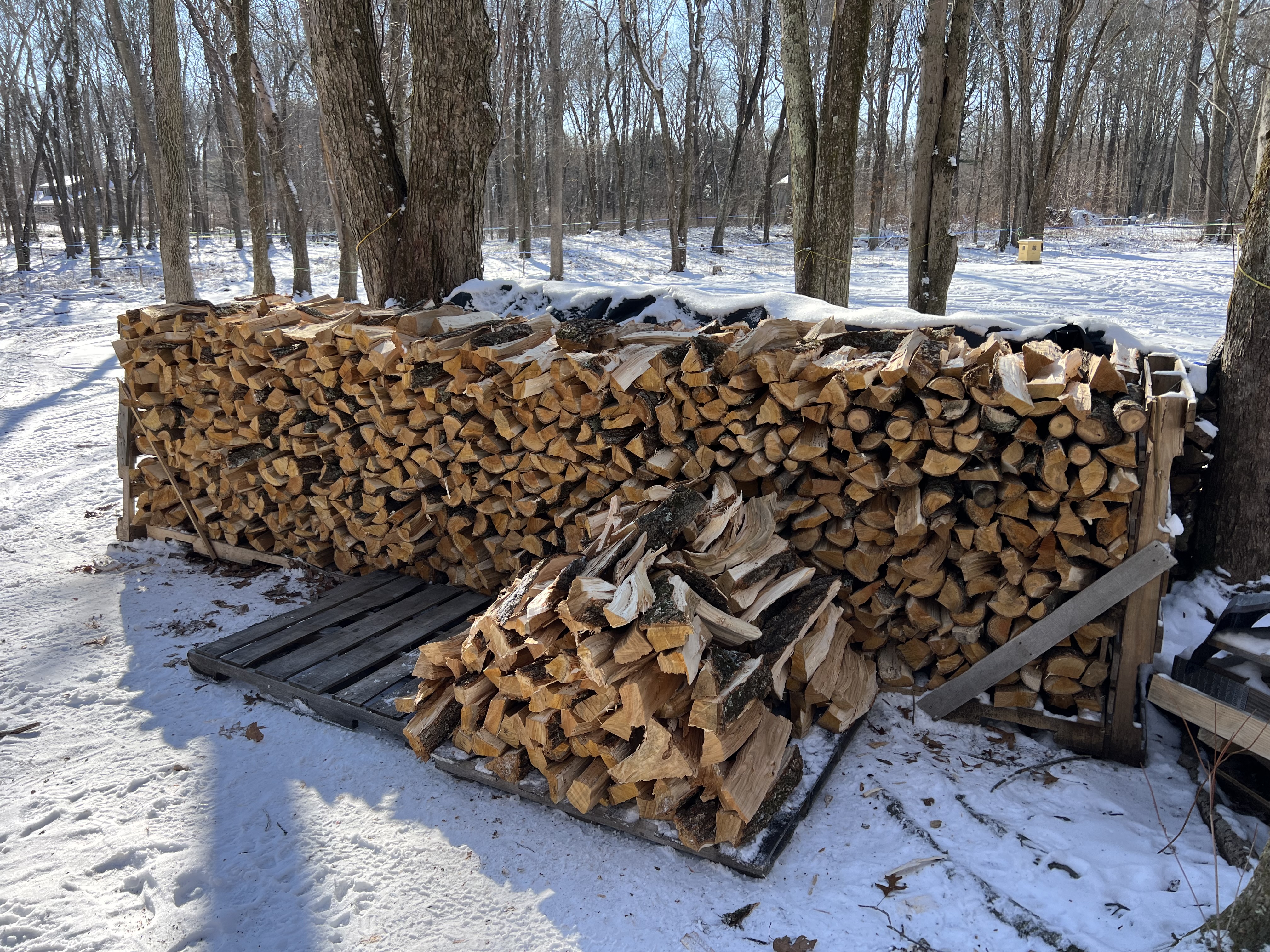 Seasoned Firewood - Cord