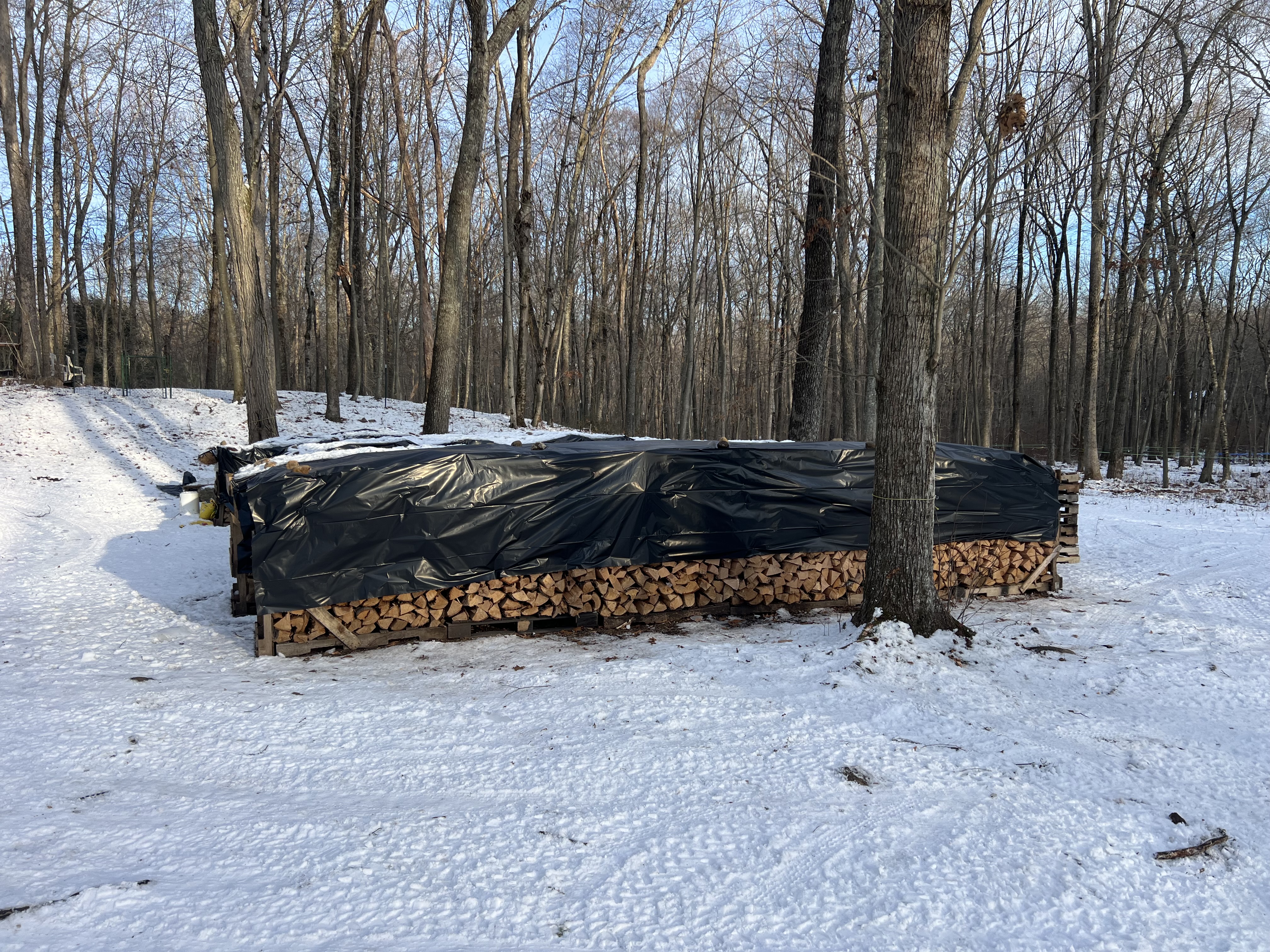 Seasoned Firewood - Cord