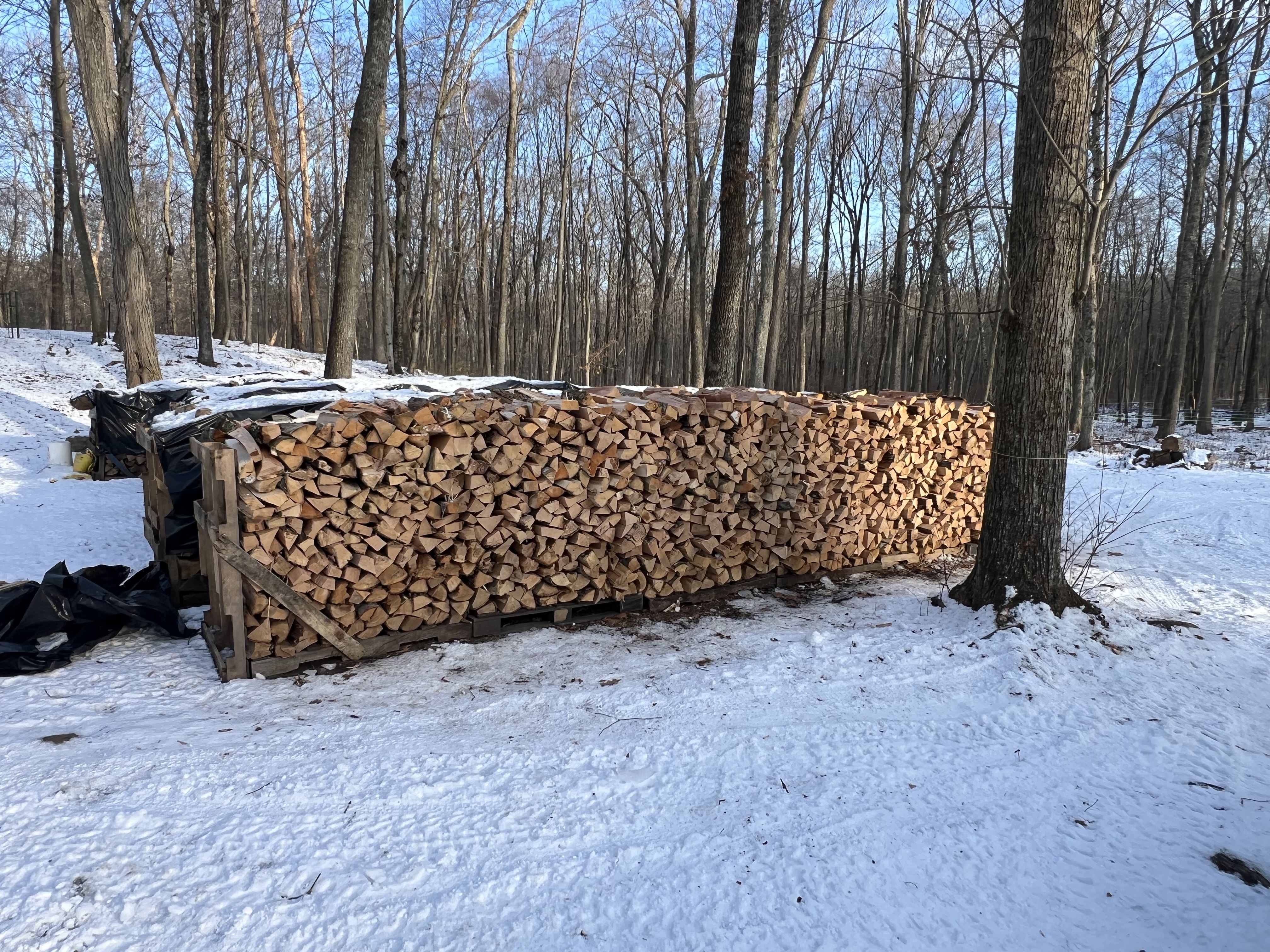 Seasoned Firewood - Cord