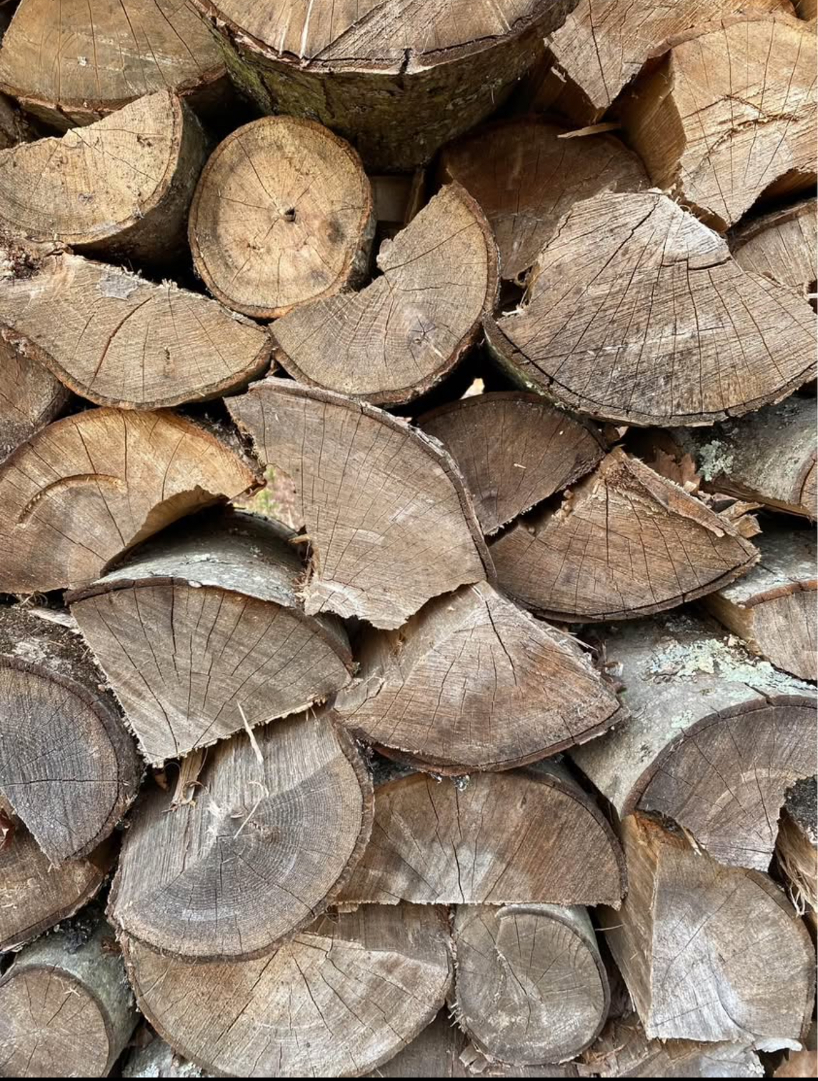 Seasoned Firewood - Cord