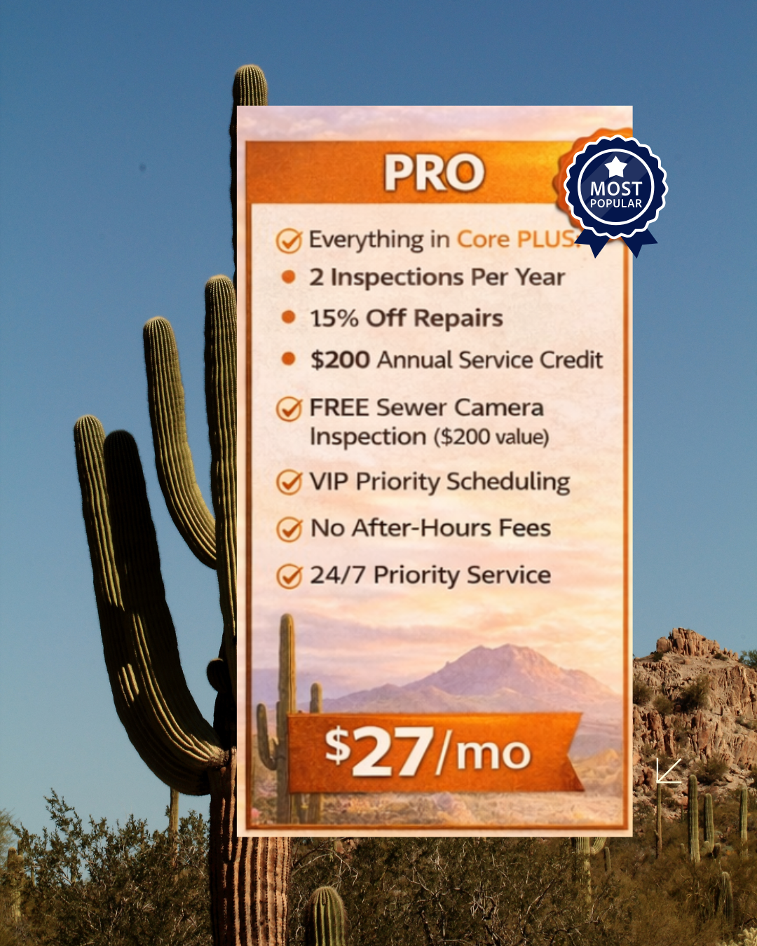 Pro Plumbing Service Plan