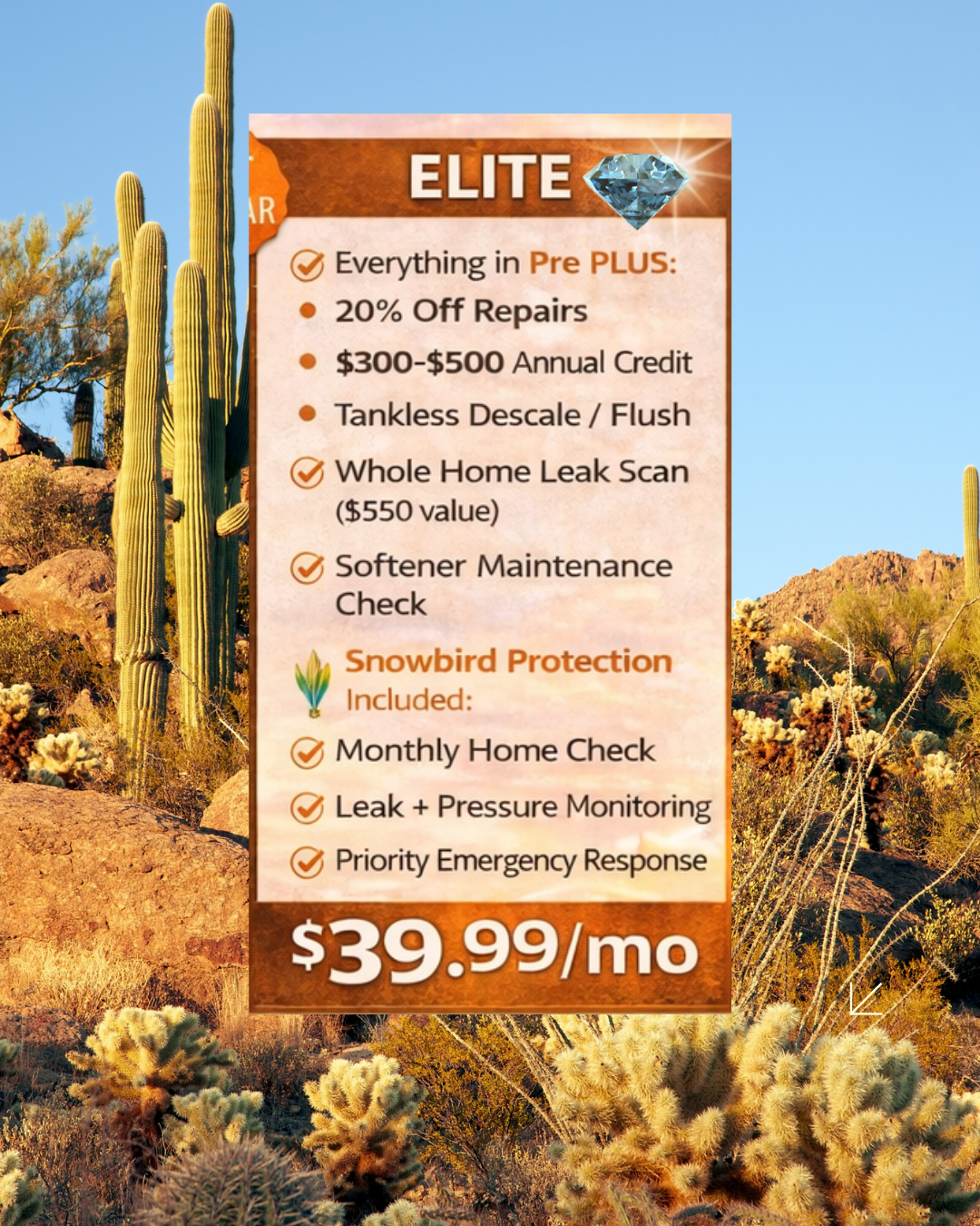 ELITE Home Protection Service