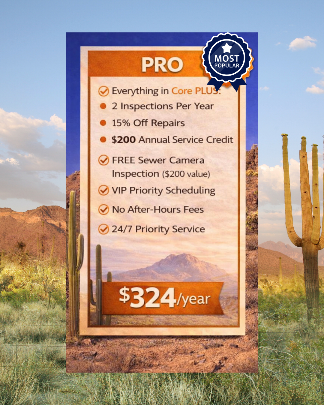 Pro Home Maintenance Service