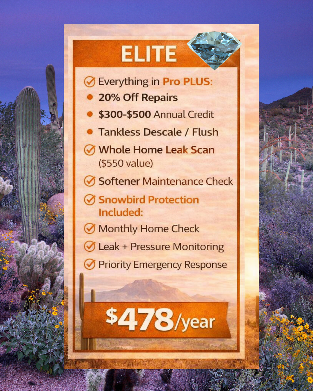 Elite Home Protection Service