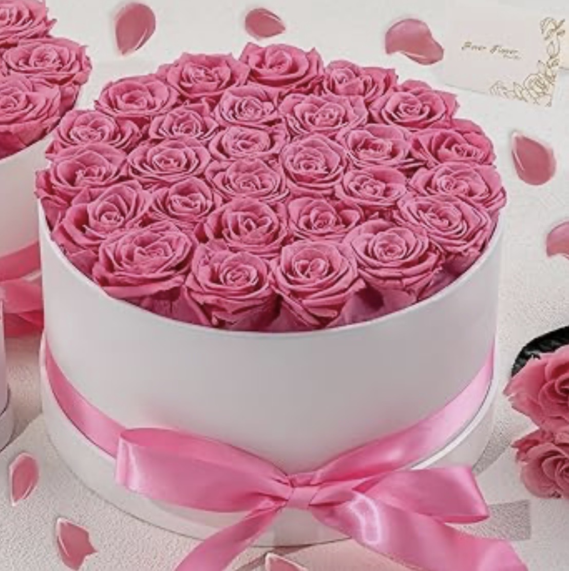 Luxury Pink Roses