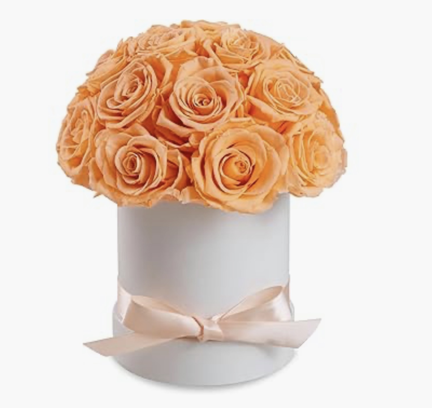 Peach Rose Flower Box