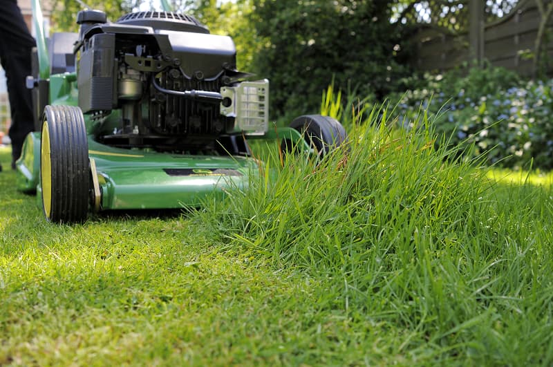 Gras maaien