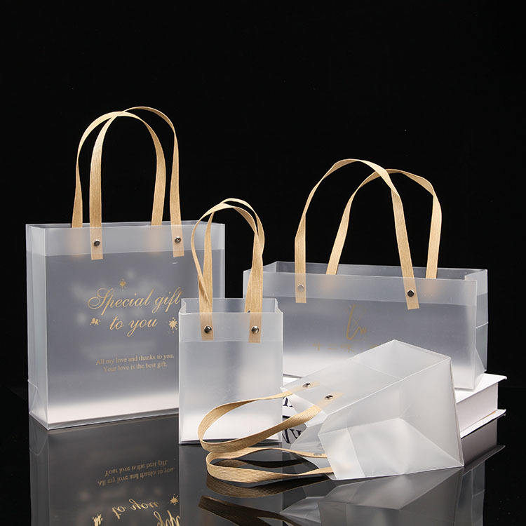 Frosted Gift Bags Set