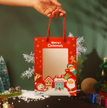 Christmas Gift Bag
