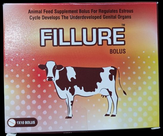 Fillure Bolus