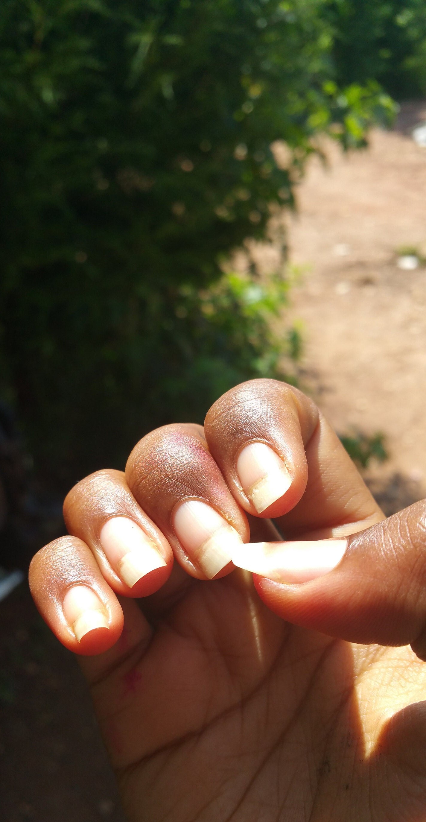 Beautiful Cuticles - Nail and cuticle oil