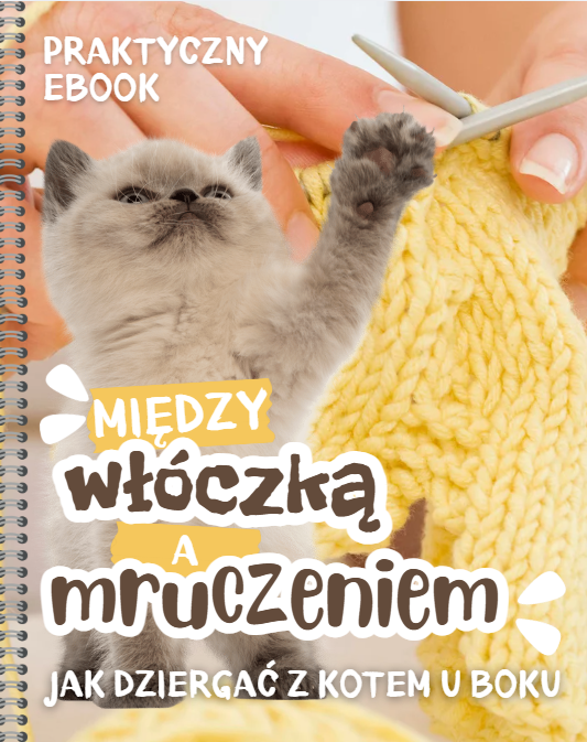 Między włóczką a mruczeniem