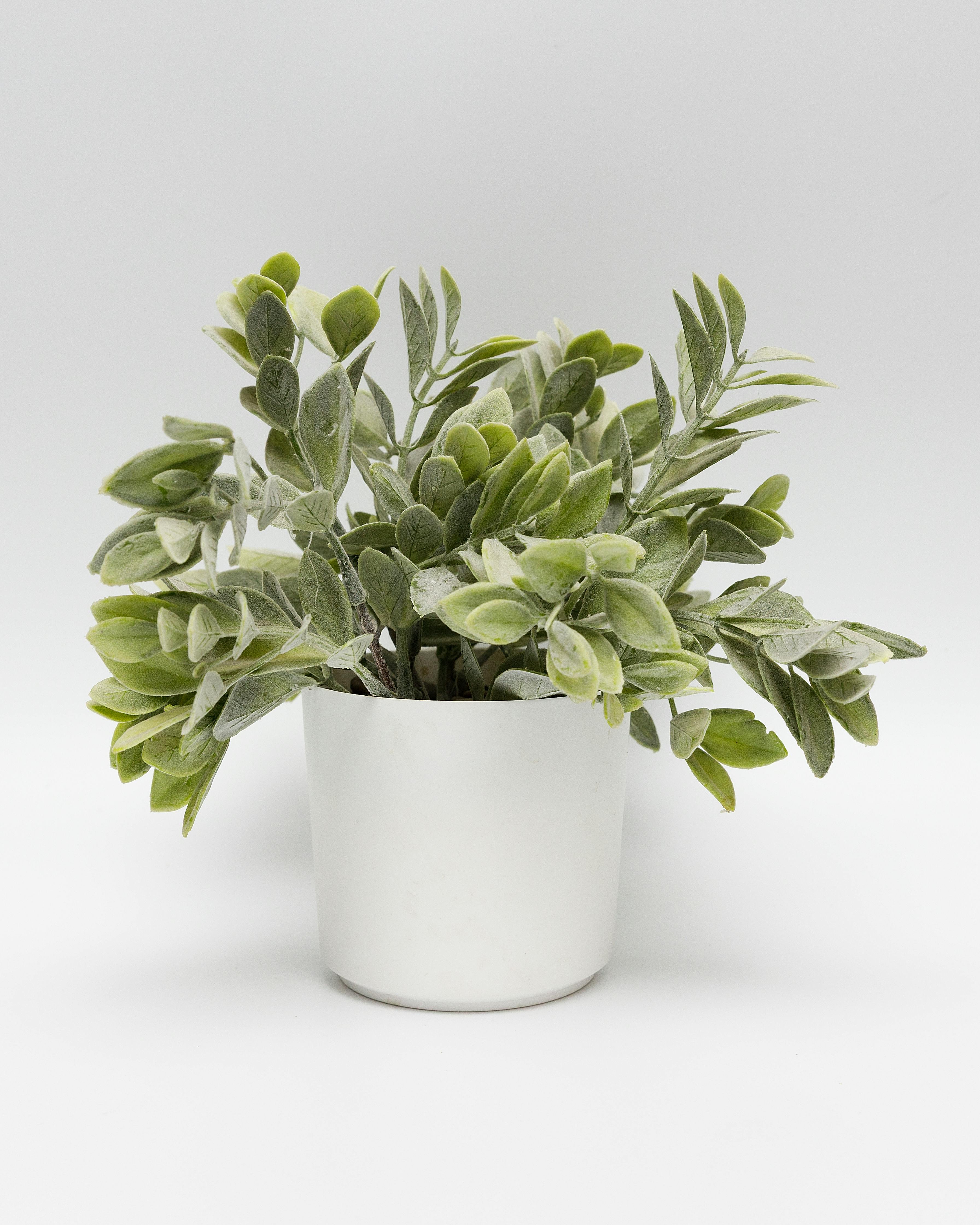 Example: Potted Sage Plastic Plant