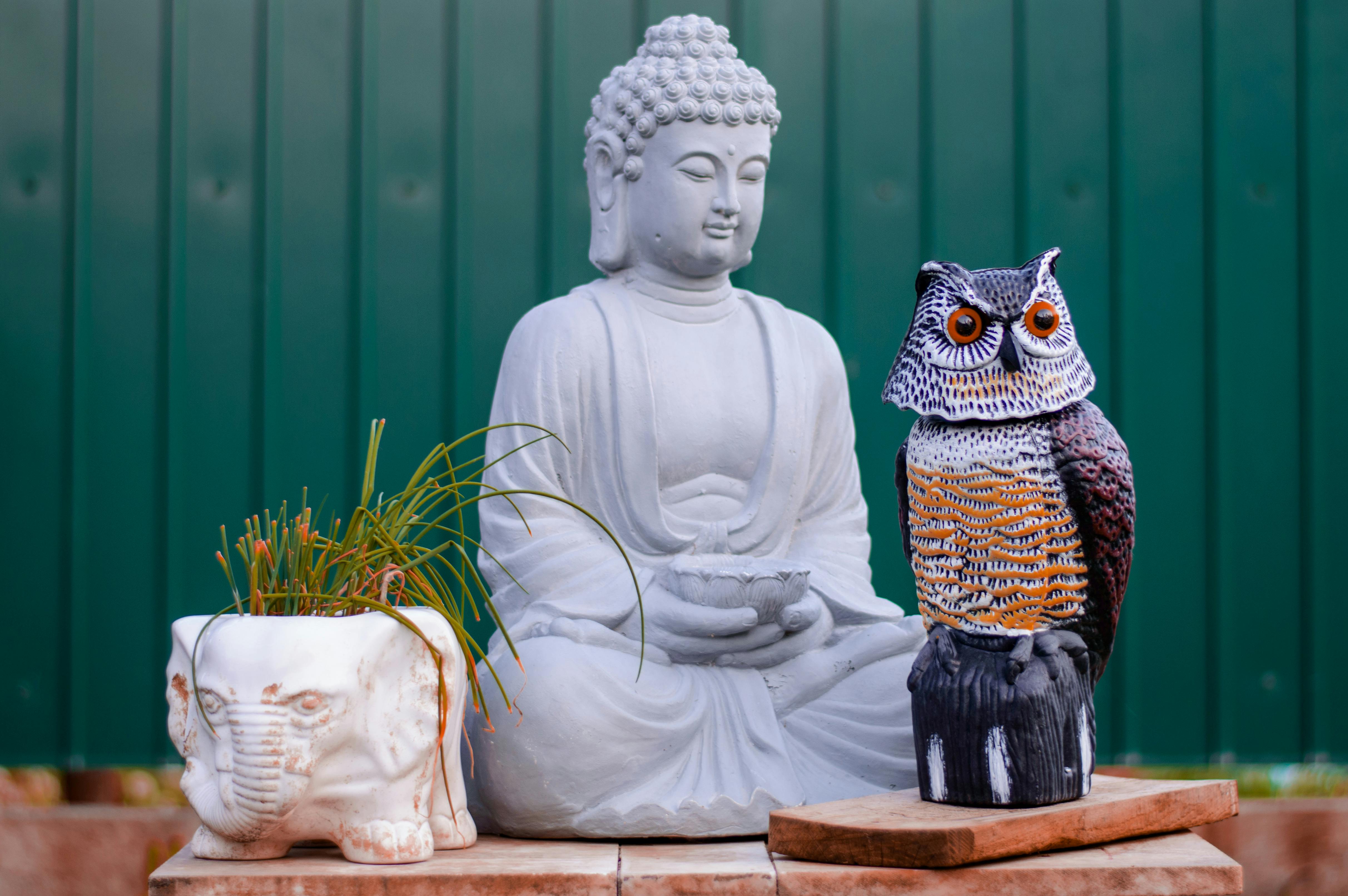 Example: Garden Buddha, Owl & Planter Set