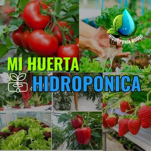 Mi Huerta Hidropónica