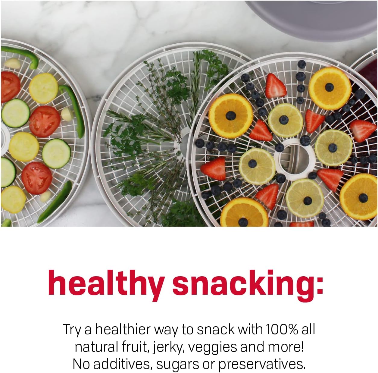 Nesco Gardenmaster Food Dehydrator