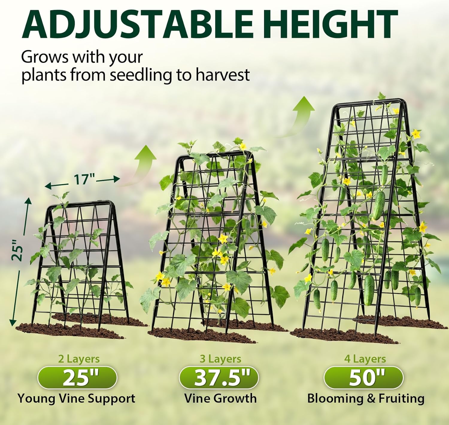 Heavy Duty Metal Trellis Set