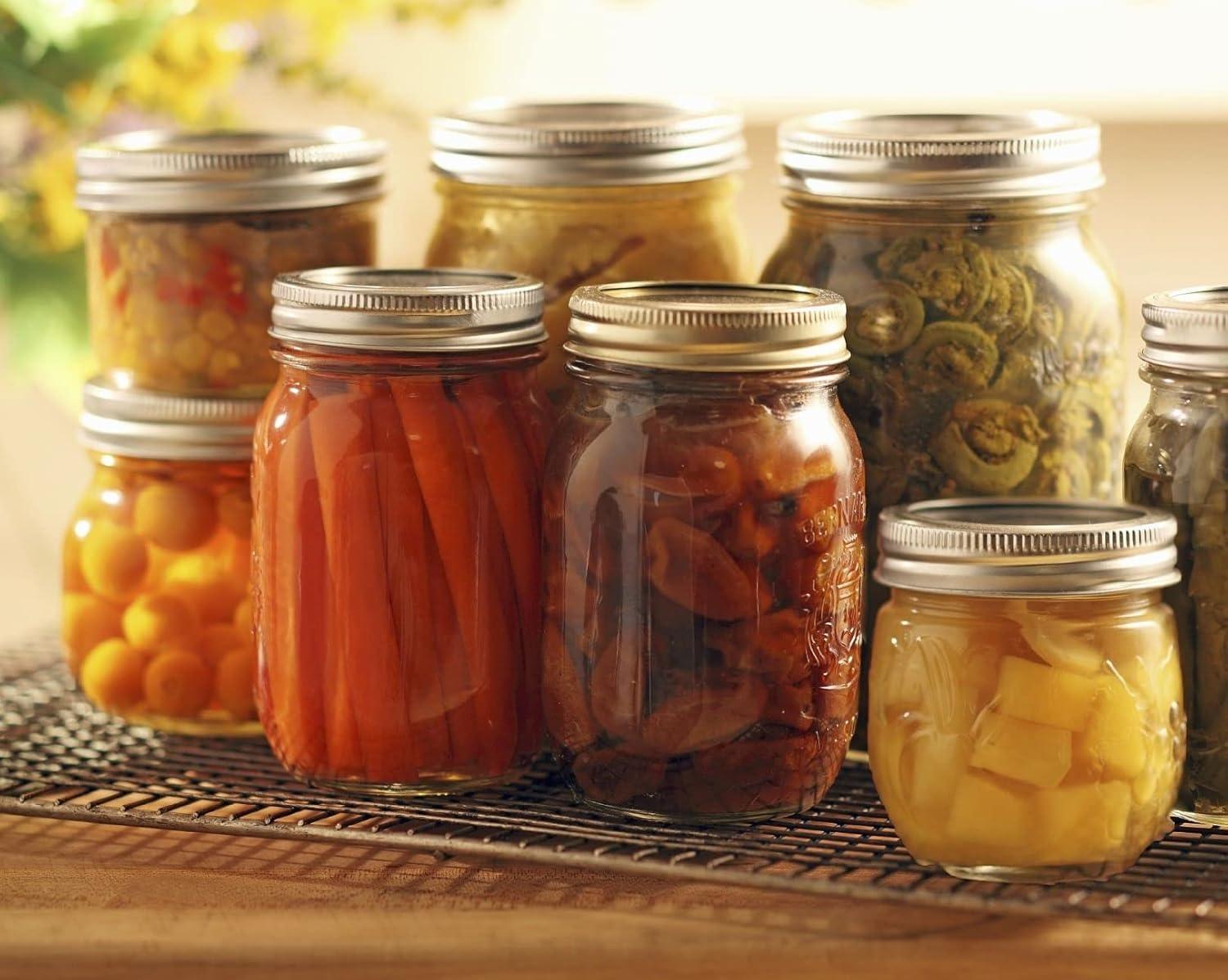 Dalzom Regular Mouth Canning Lids