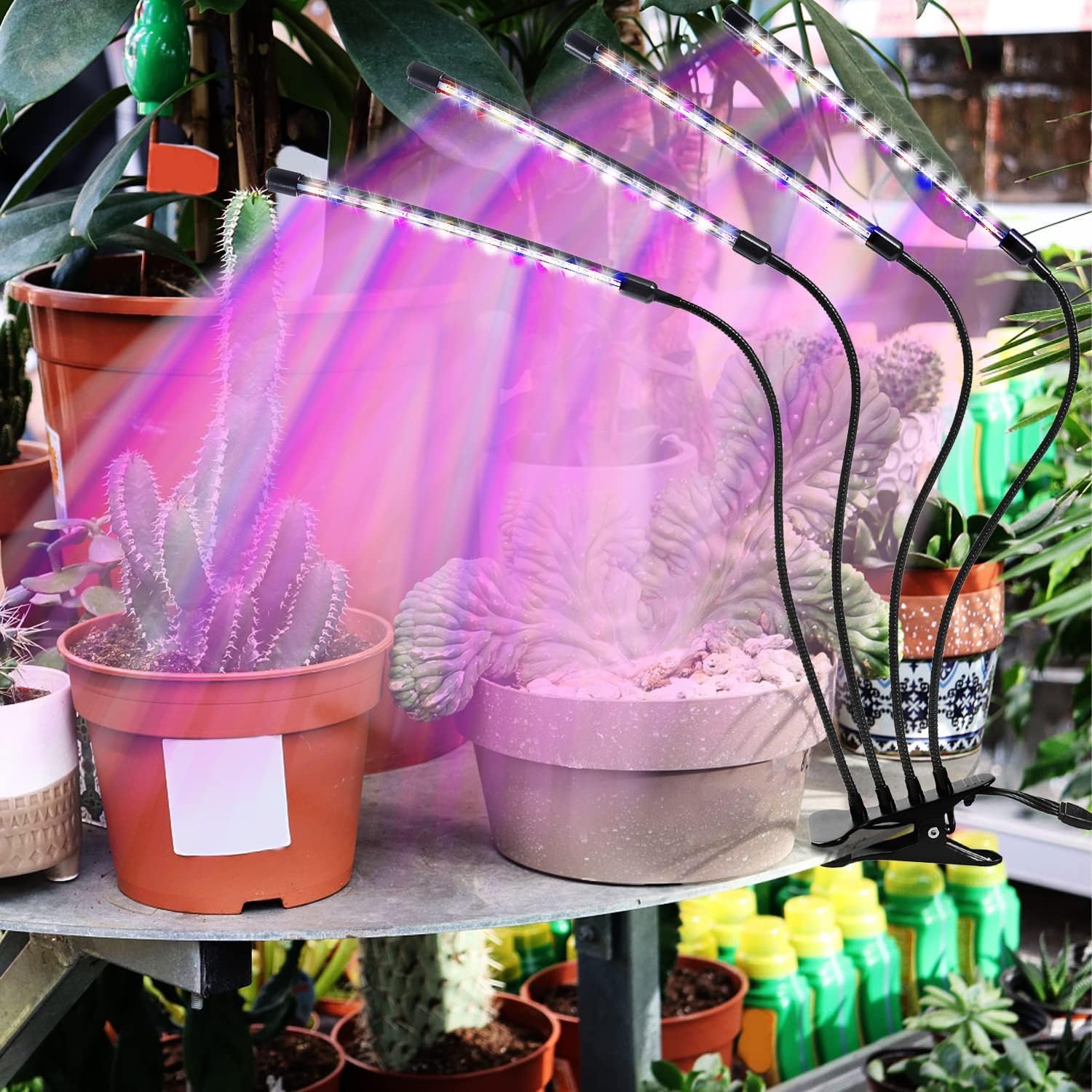LED Grow Light for Indoor Plants
