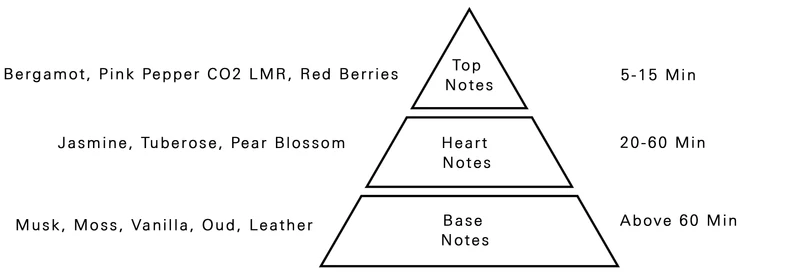 Melody EDP for Women | 100ml