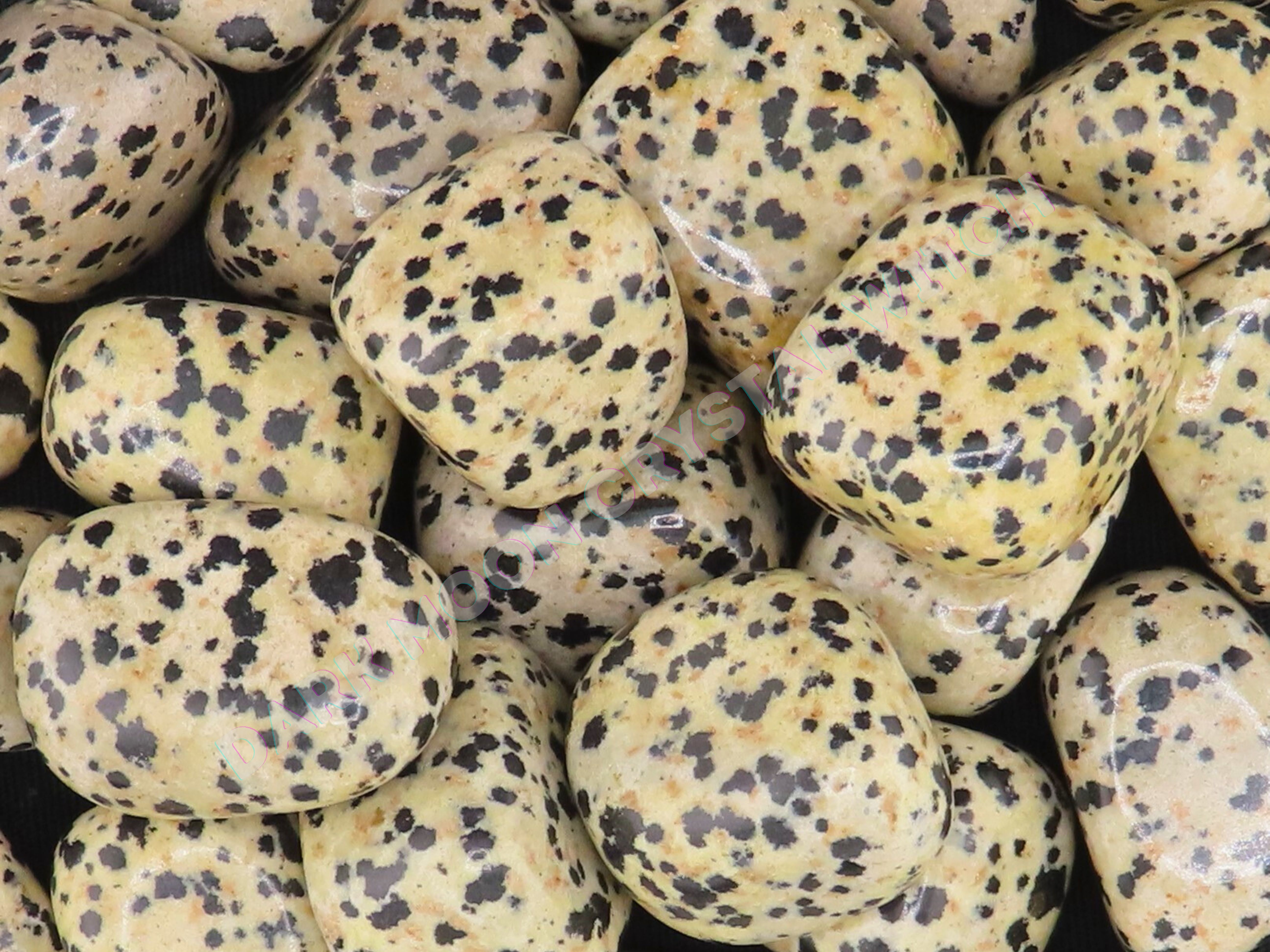 Dalmatian Jasper (3 Stones), Protection Crystal
