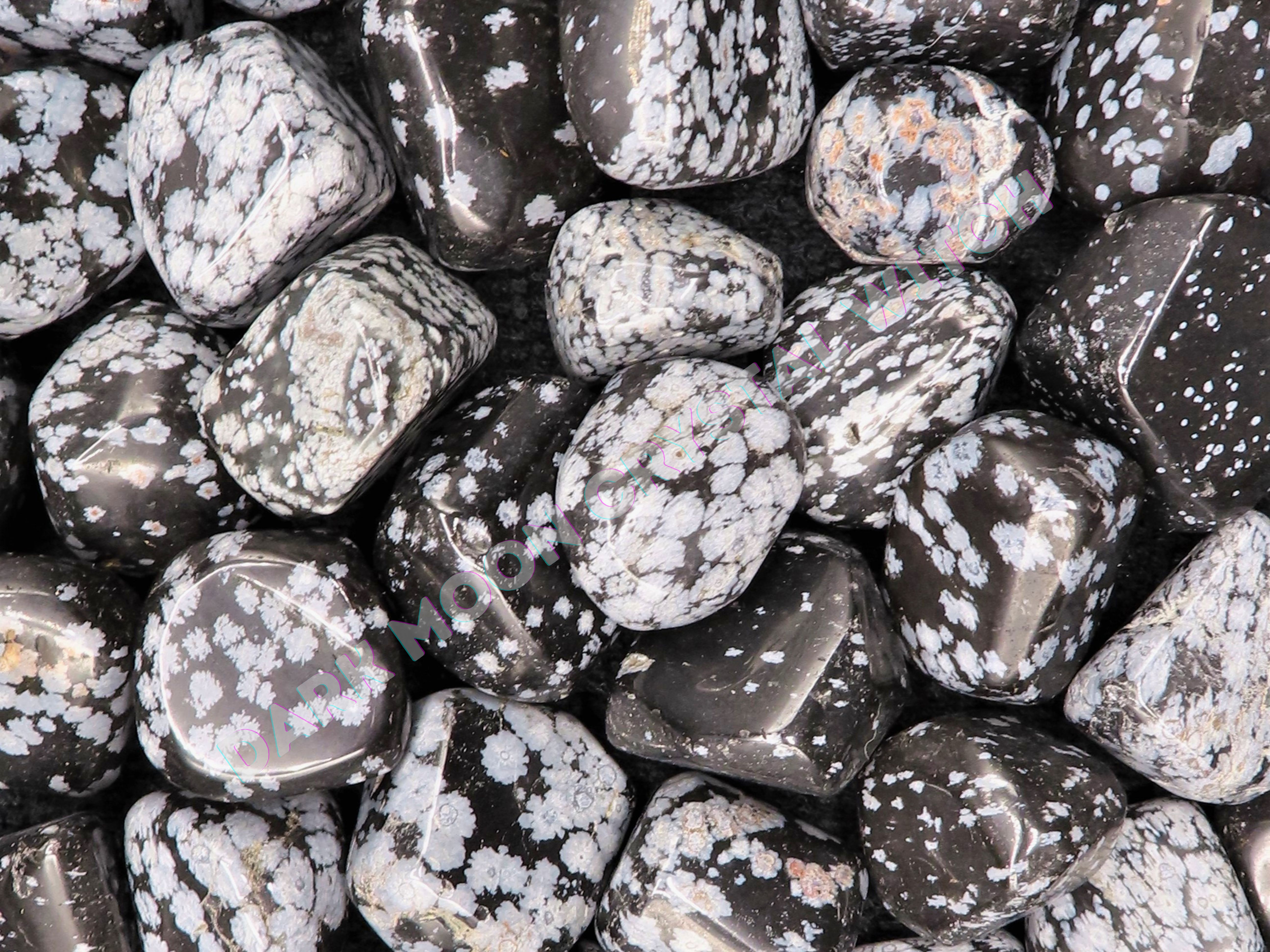 Snowflake Obsidian (3 Stones)