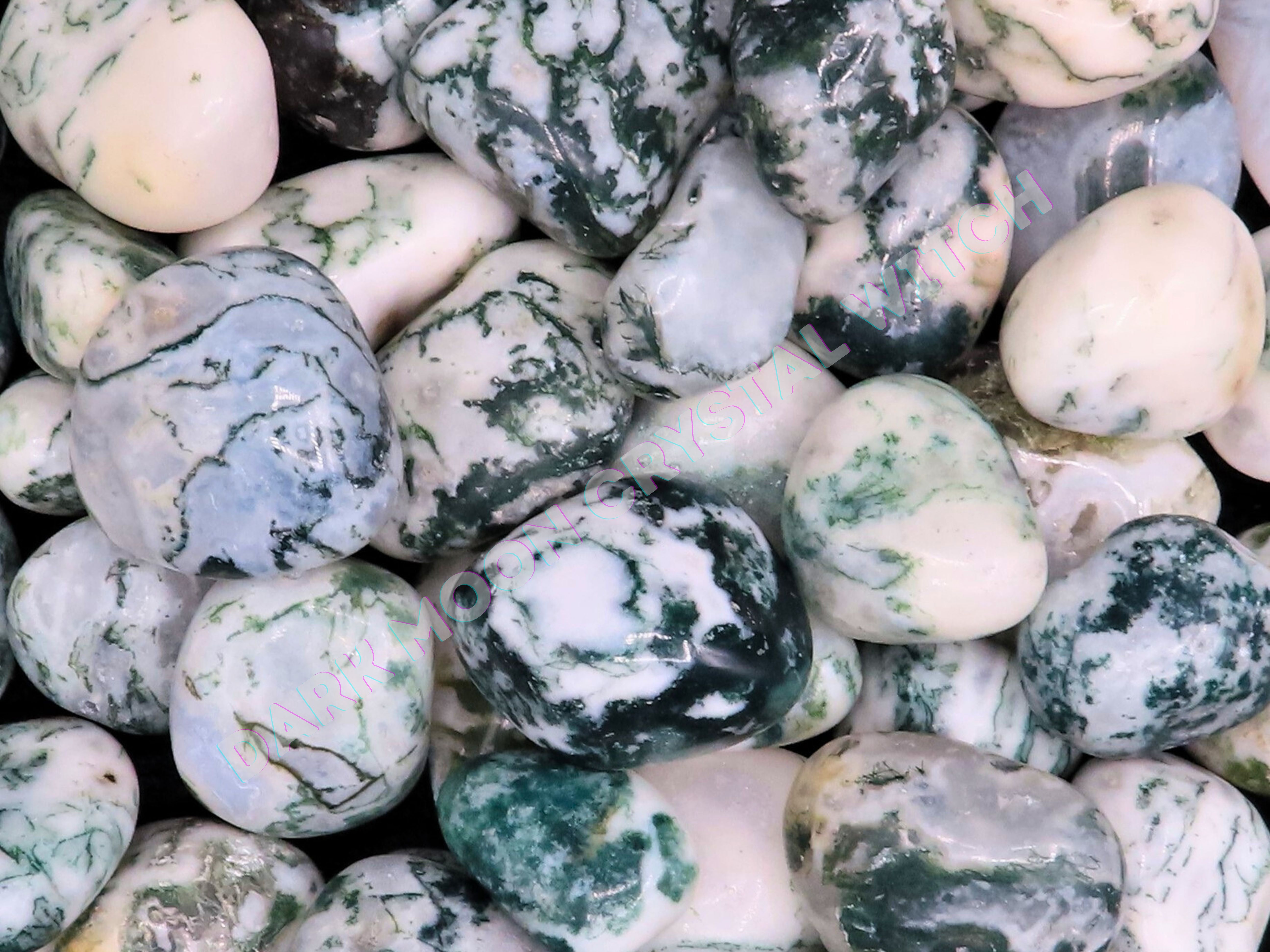 Green Tree Agate (3 Stones)