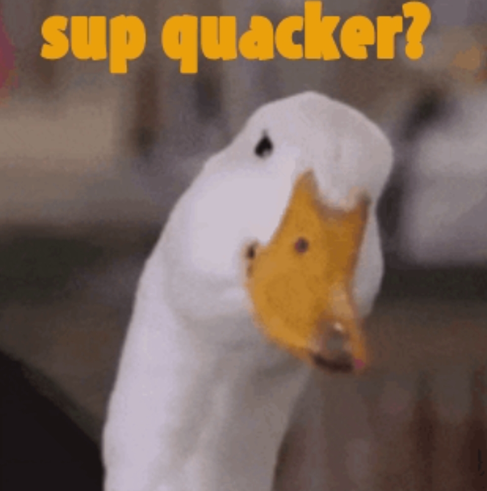 SAT AUG 15th QUACK ATTACK 