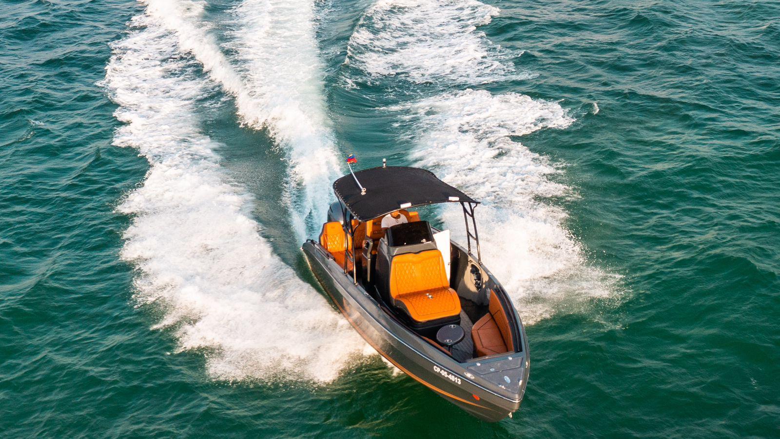 Bote de Lujo 29 Ft