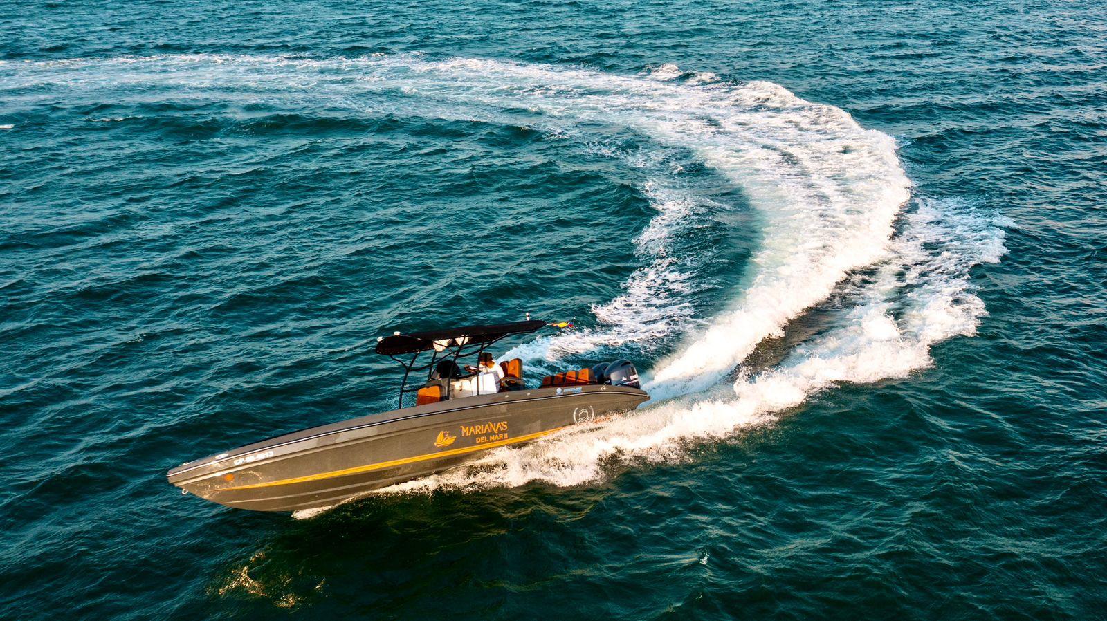 Bote de Lujo 29 Ft