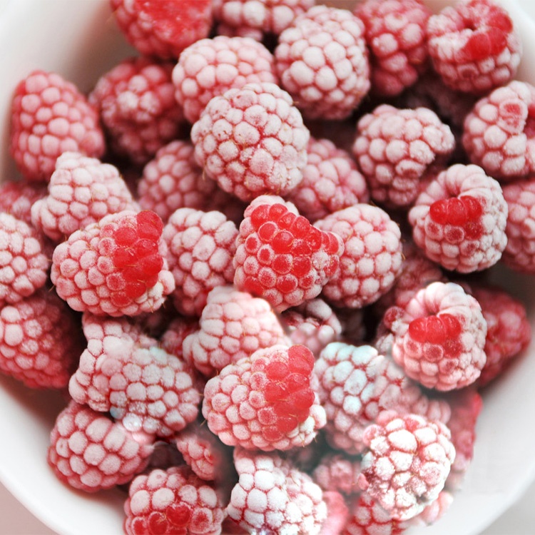 High Quality IQF Raspberries | 95% Whole | Bulk Frozen Red & Black | Organic Safe Ready Eat | -18 Storage | Shandong Origin