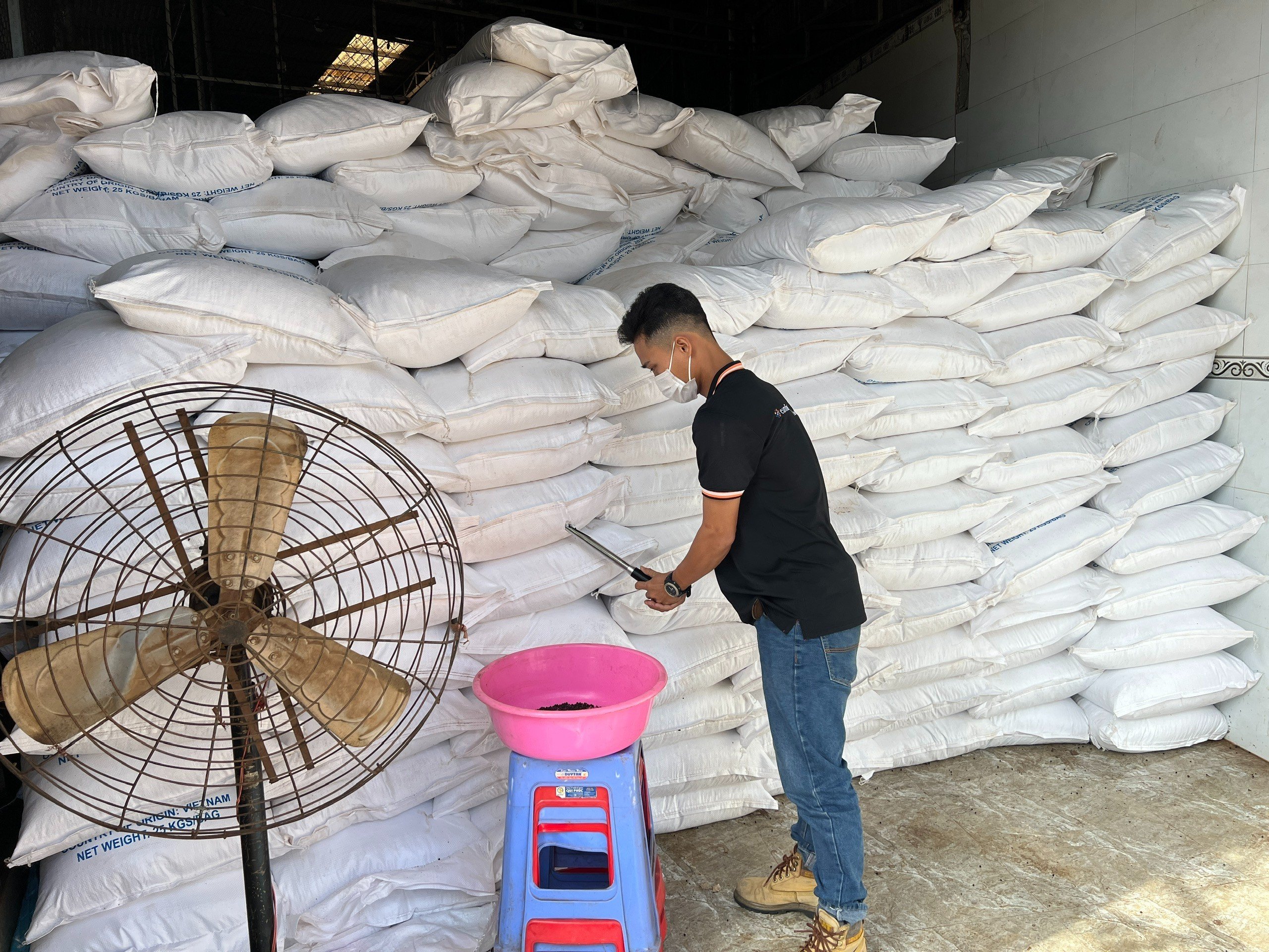 High Quality 500 FAQ 500 MC 550 MC 5mm Vietnamese Dried Black Pepper Seeds Single Spices Herbs Reasonable Price ANNA DO Cumin