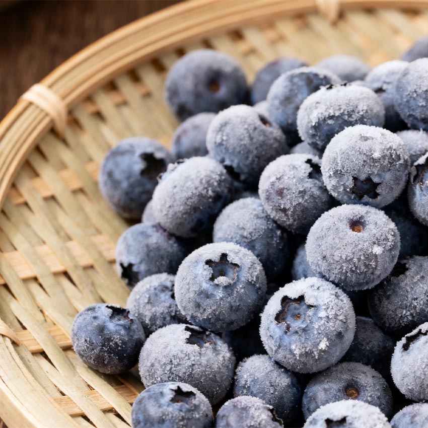 Premium Quality IQF Whole 100% Blueberries Frozen Blueberry Organic Freezing Blueberry for Sale