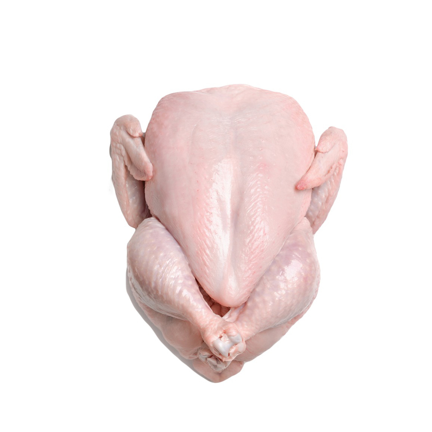Halal High-quality Grade a Body Frozen Chicken 10kg Custom Brand From Thailand Vacuum Pack Low-Fat Low-Carb for Export