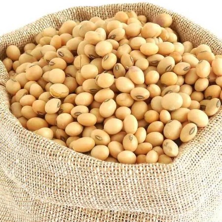 Organic Non-GMO Fresh Soybeans High Quality France 50kg 100% Mature Factory Food Wholesale 24 Months Shelf Life
