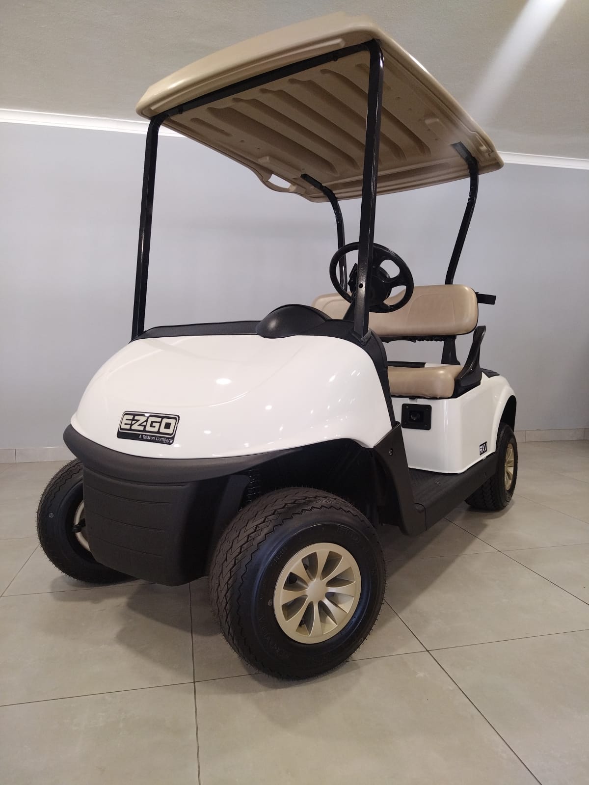 Electric Golf Cart