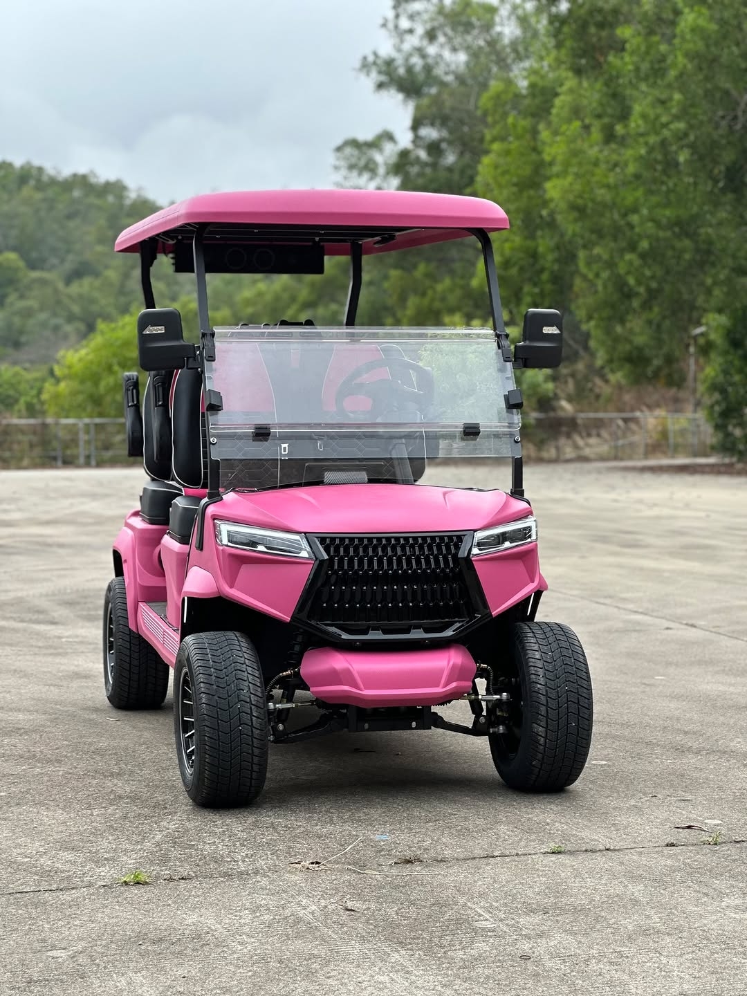 Luxury Pink Golf Cart