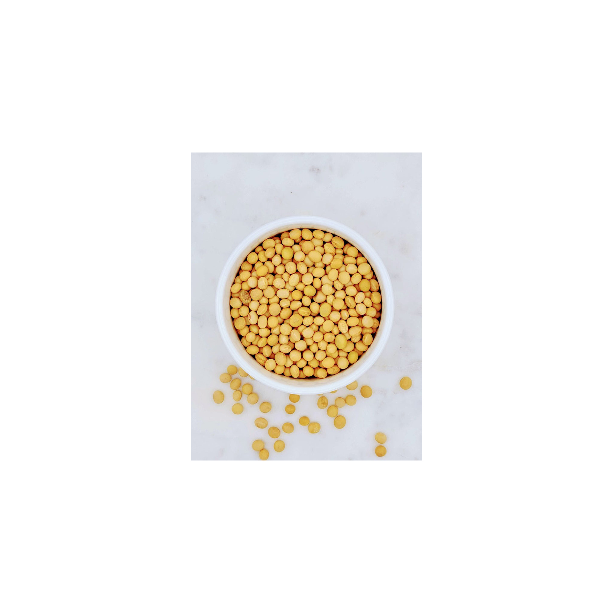 Top Organic Dried Bulk US Soybeans-USA Export Non-GMO High Quality Soybean Seeds