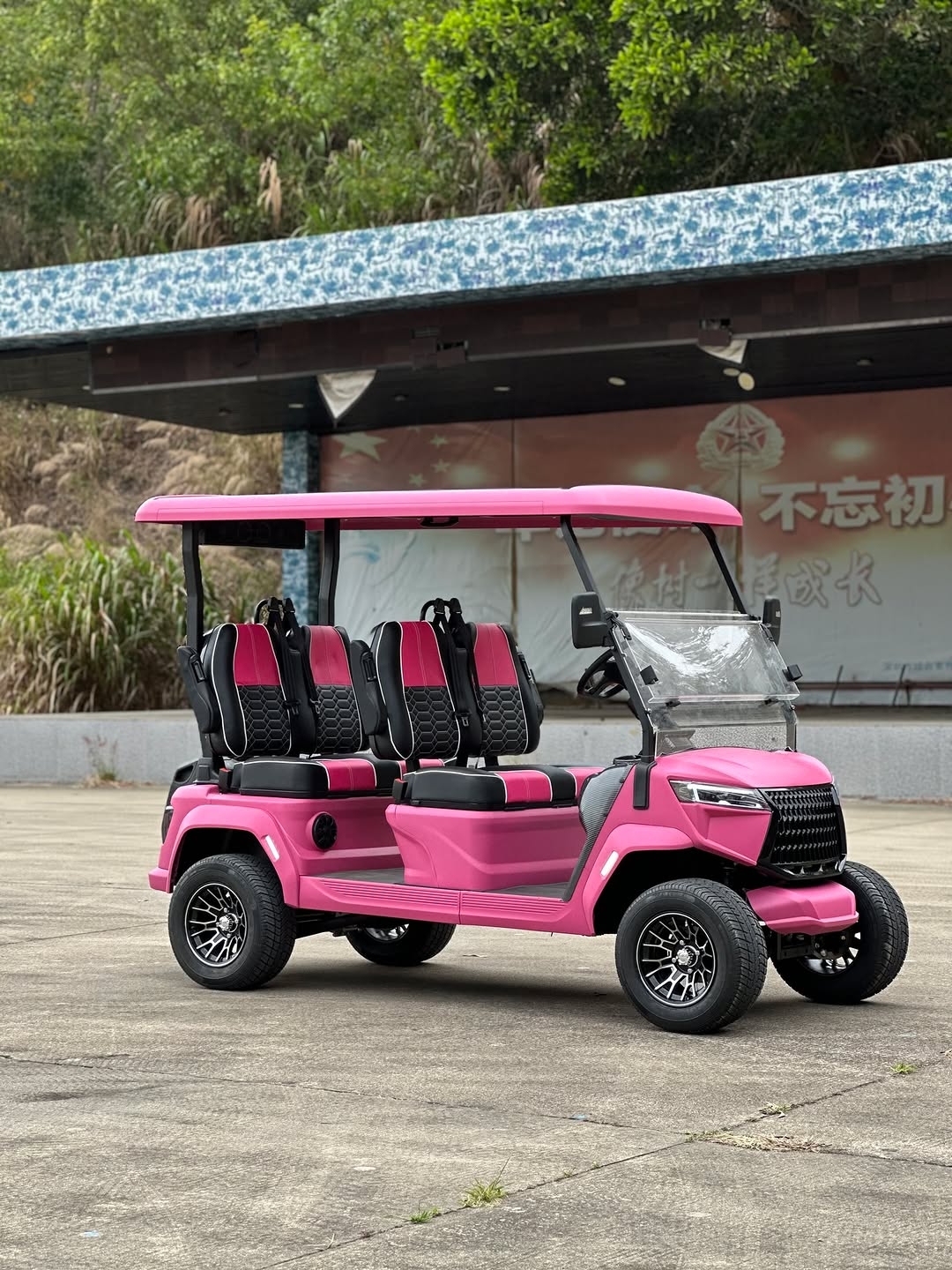 Luxury Pink Golf Cart