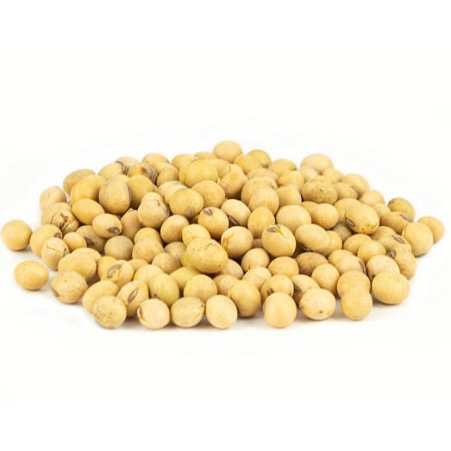 Organic Non-GMO Fresh Soybeans High Quality France 50kg 100% Mature Factory Food Wholesale 24 Months Shelf Life