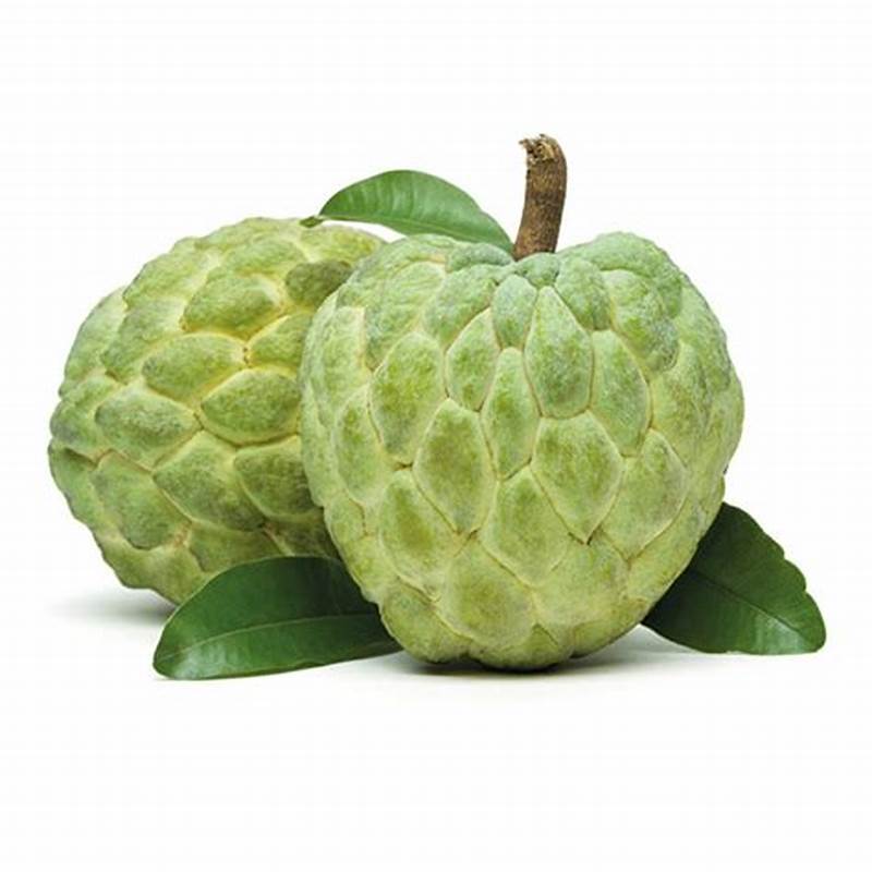 "KIM" Fresh Custard Apple Fruit - Competitive Price in the Export Market in 2026 - High Product Quality