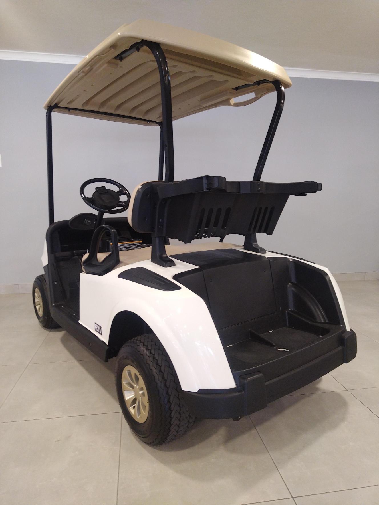 Electric Golf Cart