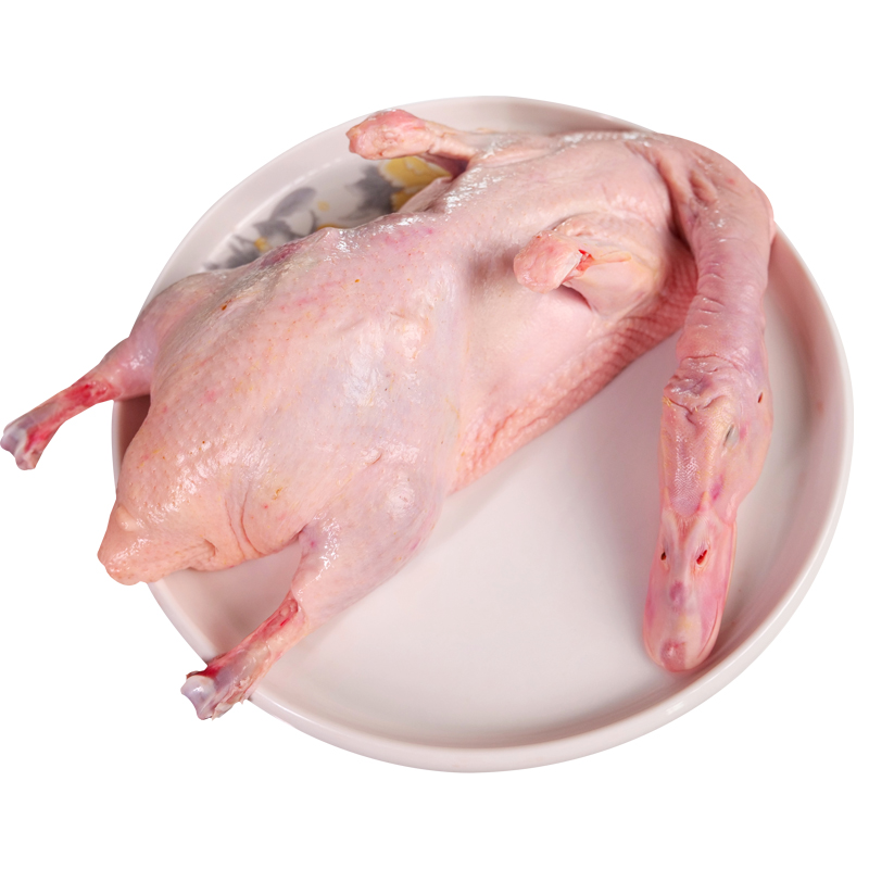 Frozen Whole Duck with Head Neck High Quality Poultry Meat Cleaned-Frozen IQF a Grade Nutritious