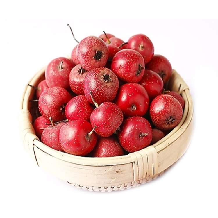 Healthy Select Organic Fresh Hawthorn Berry Fruit & Vegetable Snack