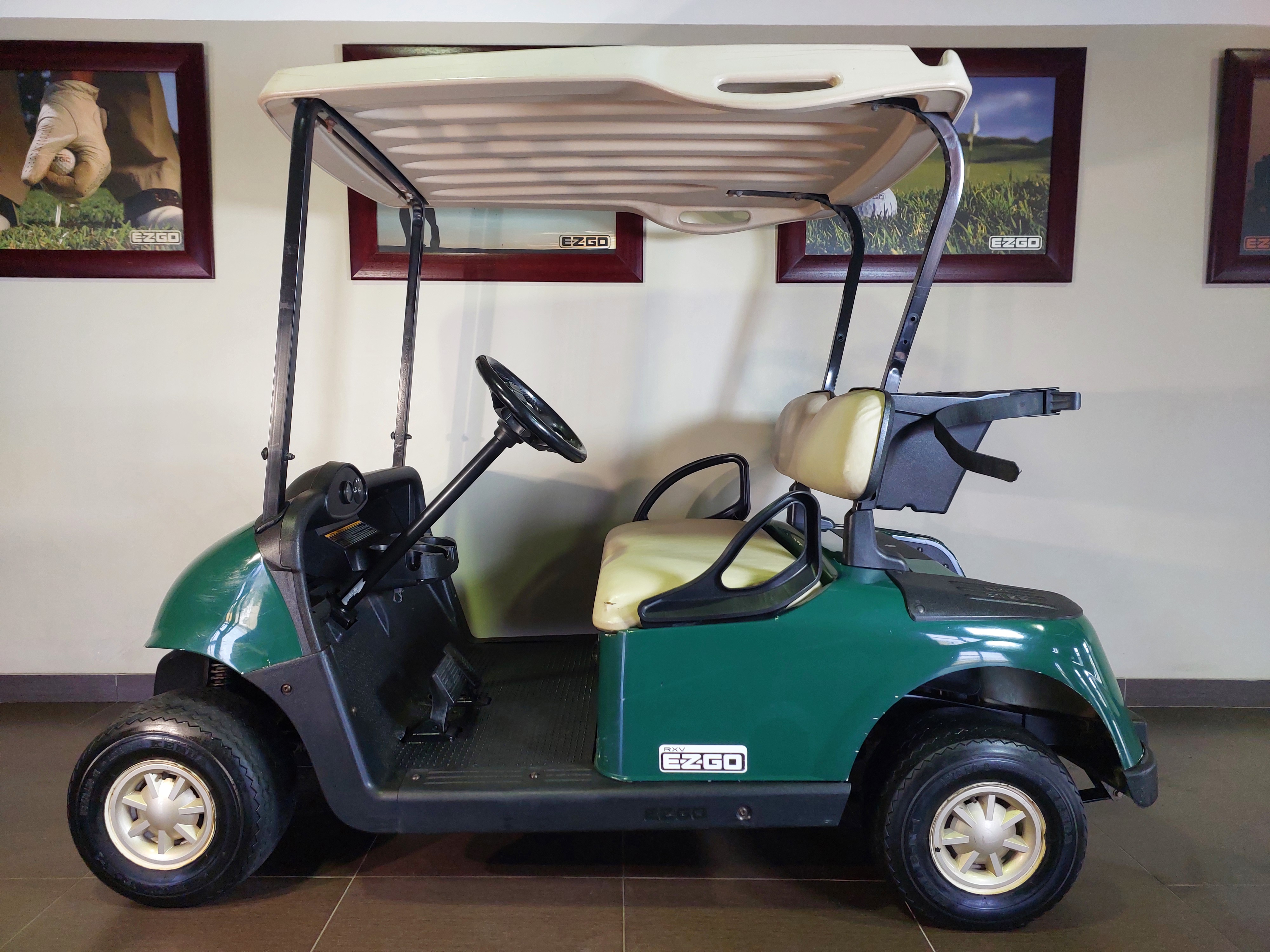 Electric Golf Cart
