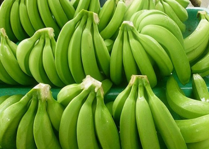 *BEST SELLER* FRESH FRUIT - FRESH CAVANDISH BANANA the BEST CHOICE for INTERNATIONAL MARKET in VIETNAM