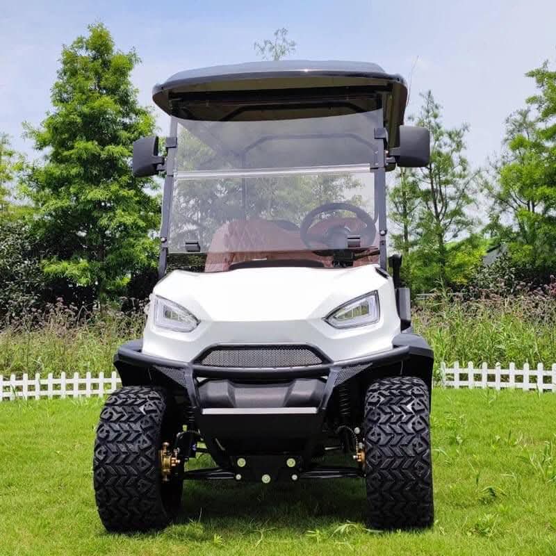 Luxury Electric Golf Cart