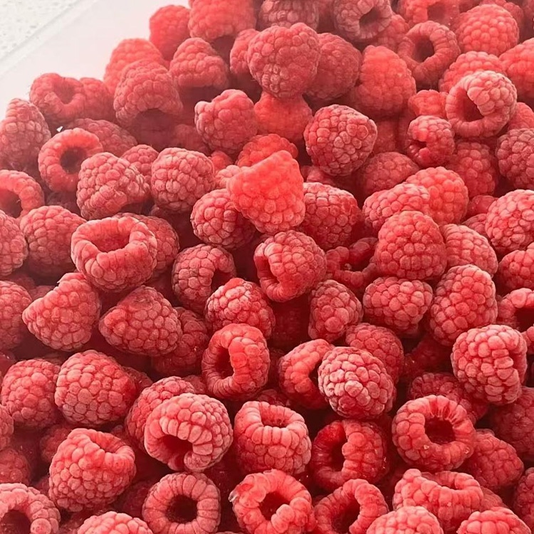 High Quality IQF Raspberries | 95% Whole | Bulk Frozen Red & Black | Organic Safe Ready Eat | -18 Storage | Shandong Origin