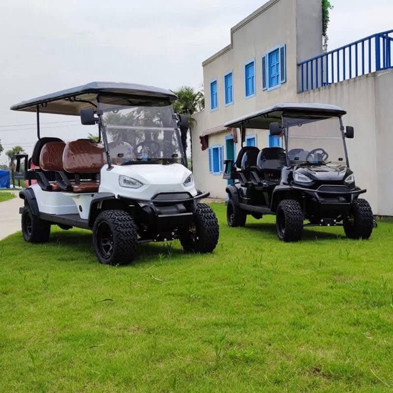 Luxury Electric Golf Cart
